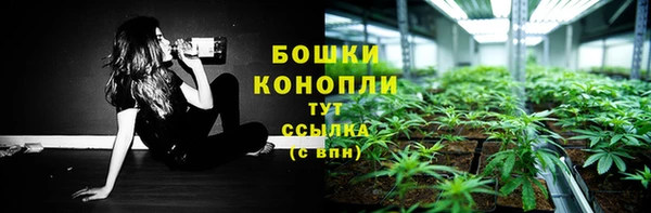 сатива Армянск
