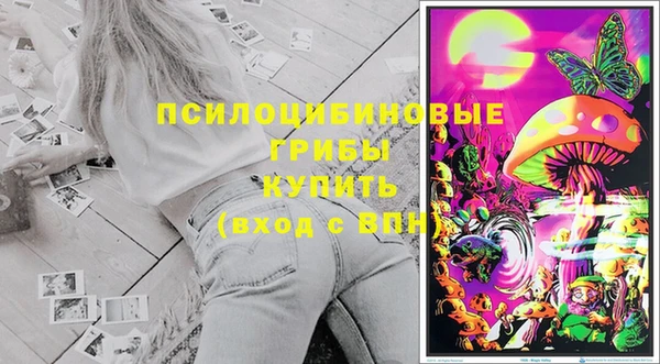 сатива Армянск