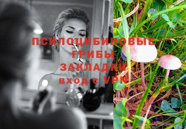 хмурый Алексеевка